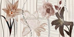 Cube Ceramica Pegas Decor 2 Керамическая плитка 25x50 см