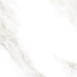 Sina 2573 Shine Grey Polished Белый Полированный Керамогранит 60x60 см