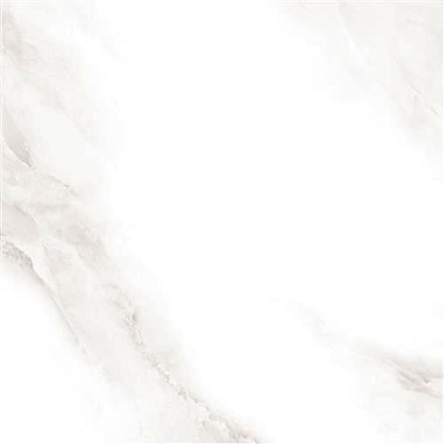 Sina 2573 Shine Grey Polished Белый Полированный Керамогранит 60x60 см
