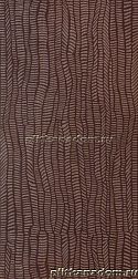 Rako Defile DDRSE361 Brown Декорр 30х60 см