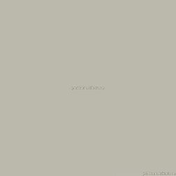 Hitom Ceramics Monocolor MC60805 светло-серый Керамогранит 60x60 см