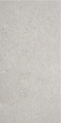 Stylnul (STN Ceramica) Inout Caliope Pearl Rect Серый Матовый Ректифицированный Керамогранит 60х120 см