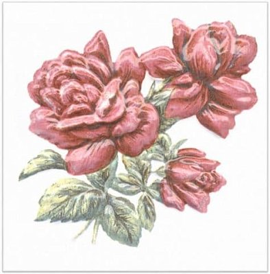 Керама Марацци Оранжерея TFA012 Декор Розы 9,9х9.9