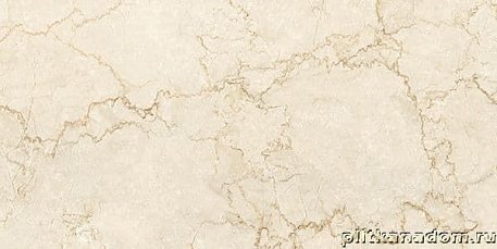 Arcana Marble Classique-R Arena Керамогранит 44,3x89,3 см