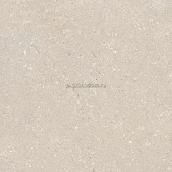 Porcelanosa Coral Caliza L Бежевый Матовый Керамогранит 120x120 см