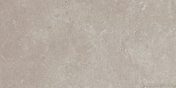 Rako Limestone DALSE802 Beige-Grey Коичневый Глянцевый Кеамоганит 30x60 см