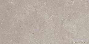 Rako Limestone DALSE802 Beige-Grey Коичневый Глянцевый Кеамоганит 30x60 см