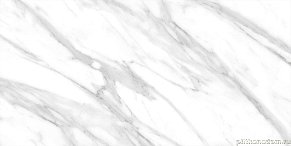 Absolut Gres Calacatta Grey Glossy Серый Полированный Керамогранит 60x120 см