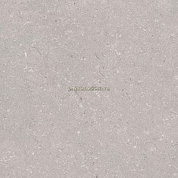 Porcelanosa Coral Acero L Серый Матовый Керамогранит 80x80 см