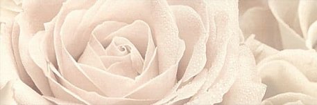 Керама Марацци Розовый город  Декор Роза 12056-3F 25х75