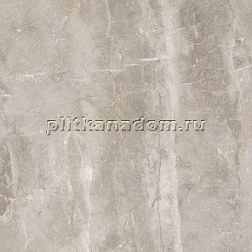 Lеopard Rock Carving Gris Керамогранит 60х60 см