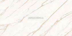 Laparet Astro SG50004820R Ivory Светло-Бежевый Матовый Керамогранит 59,5х119,1 см