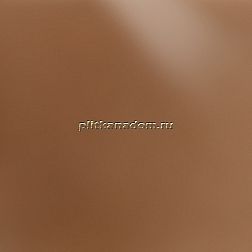 Керамика будущего(CF Systems) Декор Брикс Керамогранит полированный ректифицированный 120х19,5 см