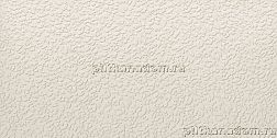 APE Ceramicas Argillae Nisus Neve Rect A037707 Керамогранит 60x120 см