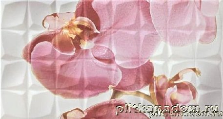 Rocersa Glamour Dec. Orchid B Blanco BLN Декор 31,6x59,34