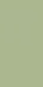 Fakhar Monocolor Green Зеленый Матовый Керамогранит 60х120 см