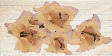 Fiore Ceramica Ito Iris ocher Декор 25x50