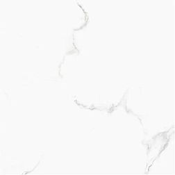Sina 2686 Versace White Polished Белый Полированный Керамогранит 60x60 см