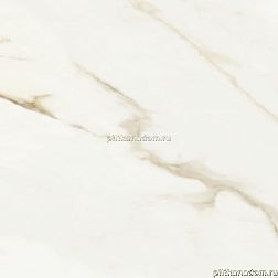 Baldocer Adaggio Gold Pulido Rectificado Керамогранит 60x60 см