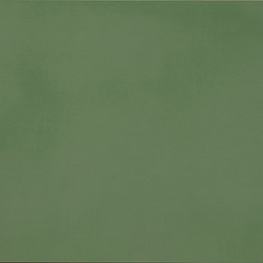Casalgrande Padana R- Evolution Green Керамогранит 60x60 см