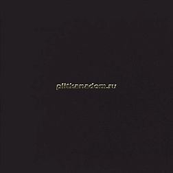 Casalgrande Padana Unicolore Nero Naturale Керамогранит 40х40 см