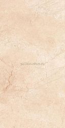 Fakhar Trust Cream Бежевый Глянцевый Керамогранит 50x100 см