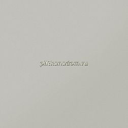 Керамика будущего(CF Systems) Моноколор CF UF 002 Св. серый Керамогранит матовый Rett 60х19,5 см