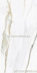 Tau Ceramica Emporio Calacatta Pulido Керамогранит 60x120 см