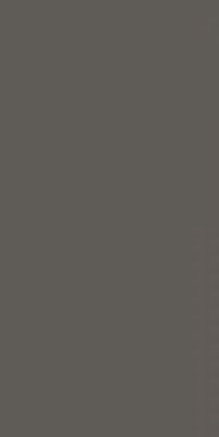 Fakhar Monocolor Medium Gray Серый Матовый Керамогранит 60х120 см