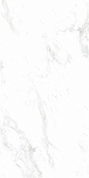 Monalisa tiles Marbles CBP5691M Белый Глянцевый Керамогранит 60х120 см