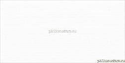 New Trend Manhattan White WT9MAN00 Настенная плитка 24,9x50