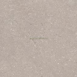 Porcelanosa Coral Topo L Коричневый Матовый Керамогранит 80x80 см