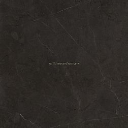 Caesar Anima Graphite Rett Lucidato Керамогранит 60х60 см
