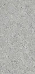 Flavour Granito Fiorite Grey Glossy Серый Полированный Керамогранит 60x120 см