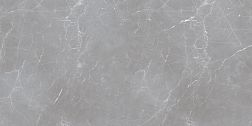 Ocean Ceramic Иран Arion Gray Dark Серый Матовый Керамогранит утолщенный 60х120 (59,7х119,7), 20мм см