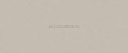 Fap Ceramiche True Color Настенная плитка fTDU Fossil RT 50x120