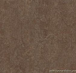 Forbo Marmoleum Fresco 3874 walnut Линолеум натуральный 2,5 мм