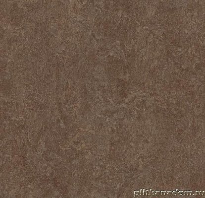 Forbo Marmoleum Fresco 3874 walnut Линолеум натуральный 2,5 мм