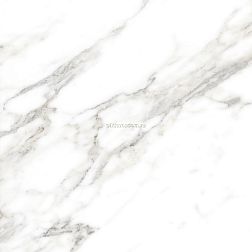 Kevis Silva Grey Glossy Керамогранит 60х60 см