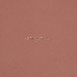 Casalgrande Padana Unicolore Rosa Antico Naturale Керамогранит 20х20 см