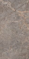 Realistik Индия Laxveer Ceramic Miltonia Grey Серый Глянцевый Керамогранит 60x120 см