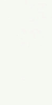 Ariostea Marmi Classici Thassos Luc Белый Полированный Керамогранит 60х120 см