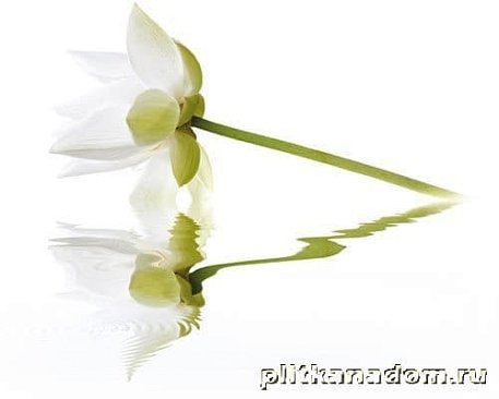 Cerrol City white lilies Панно (из 2-х штук) 50x40