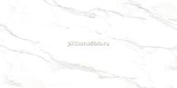 Ceramicoin Calacatta Strong Матовый Керамогранит 60х120 см