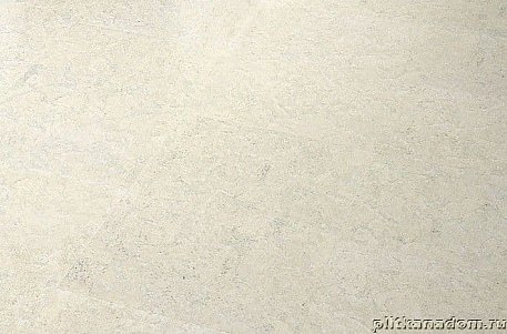 Amorim Corkcomfort C81D001 Slate Arctic Пробковый пол 605х445х10,5