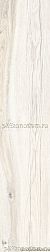 RHS Ceramiche (Rondine group) Daring Ivory Бежевый Натуральный Керамогранит 24х120 см