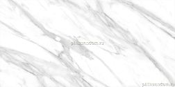Absolut Gres Calacatta Grey Glossy Серый Полированный Керамогранит 60x120 см