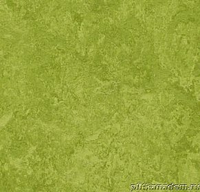 Forbo Marmoleum Decibel 324735 green Линолеум натуральный 3,5 мм