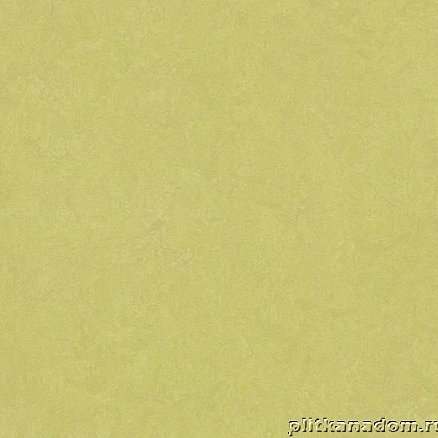 Marmoleum Click Square