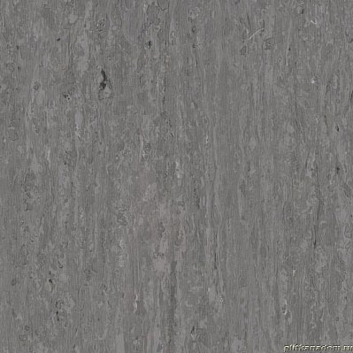 Tarkett IQ Optima Neutral dark grey 0243 Виниловая плитка 610х610